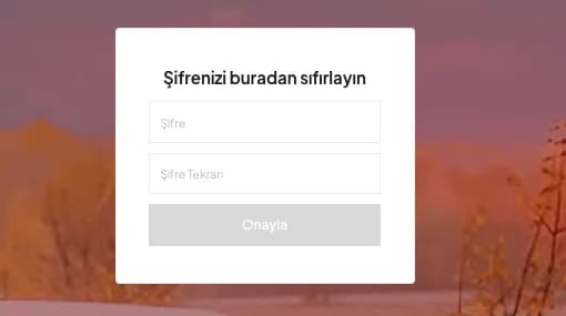 Şifremi Unuttum, Ne Yapmalıyım? — görsel